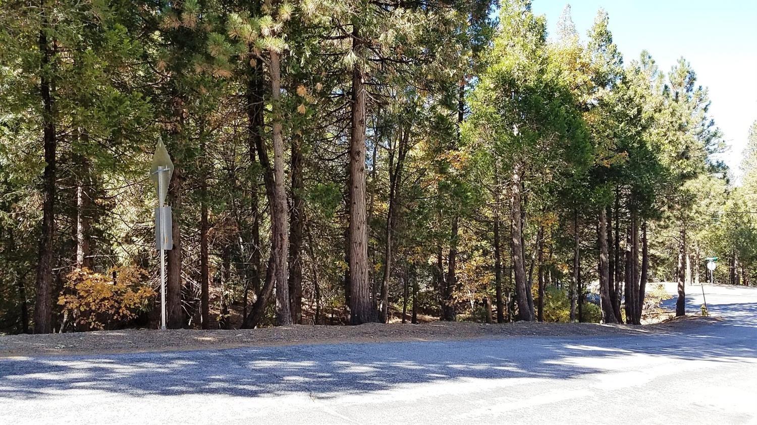 Grass Valley Road, Lake Arrowhead, CA 92352