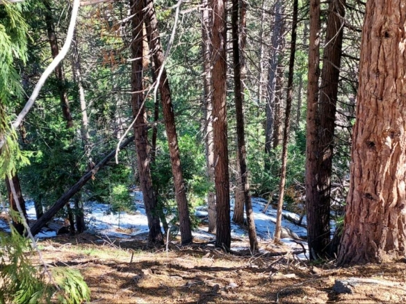 Altdorf Drive, Crestline, CA 92325