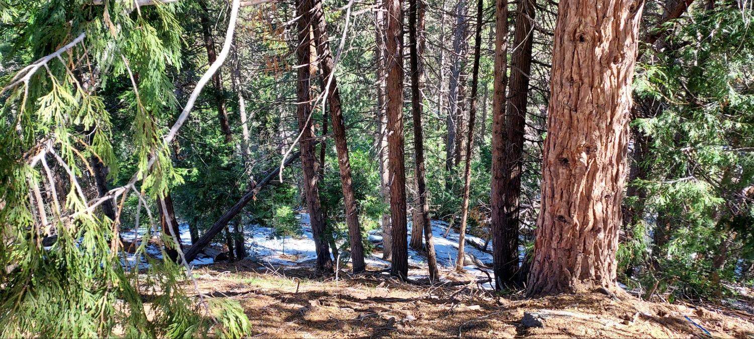 Altdorf Drive, Crestline, CA 92325