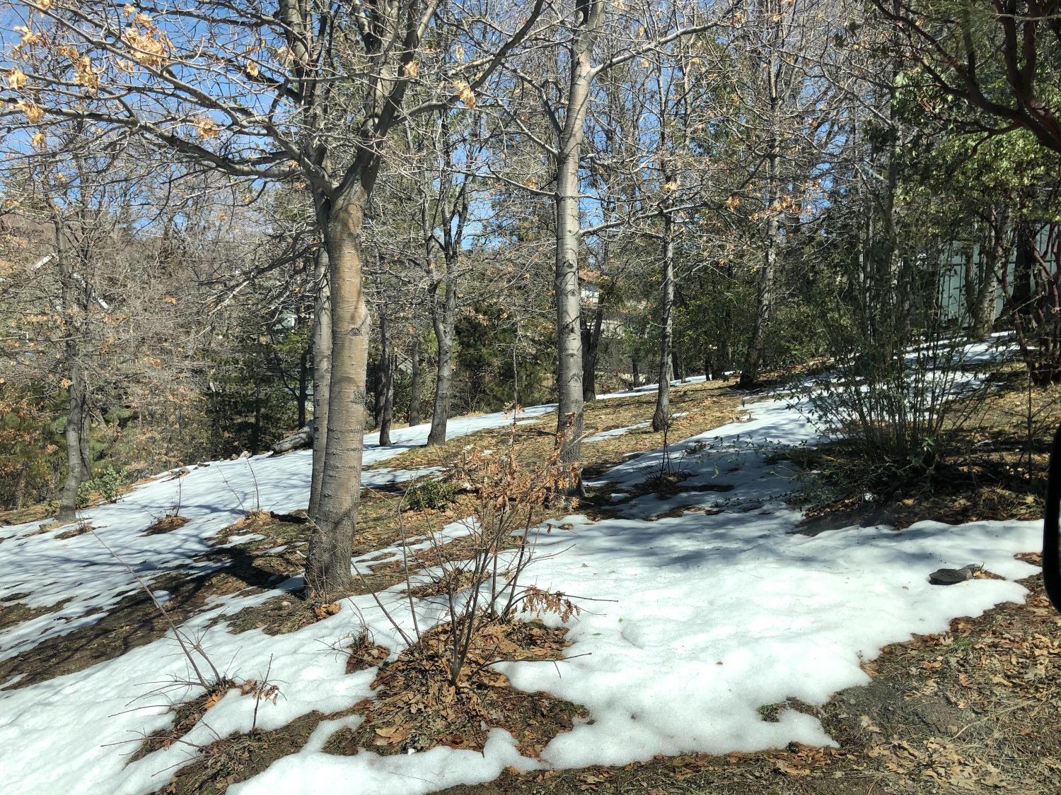 Sandalwood Drive, Lake Arrowhead, CA 92352