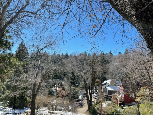 Lyon Drive, Cedar Glen, CA 92321