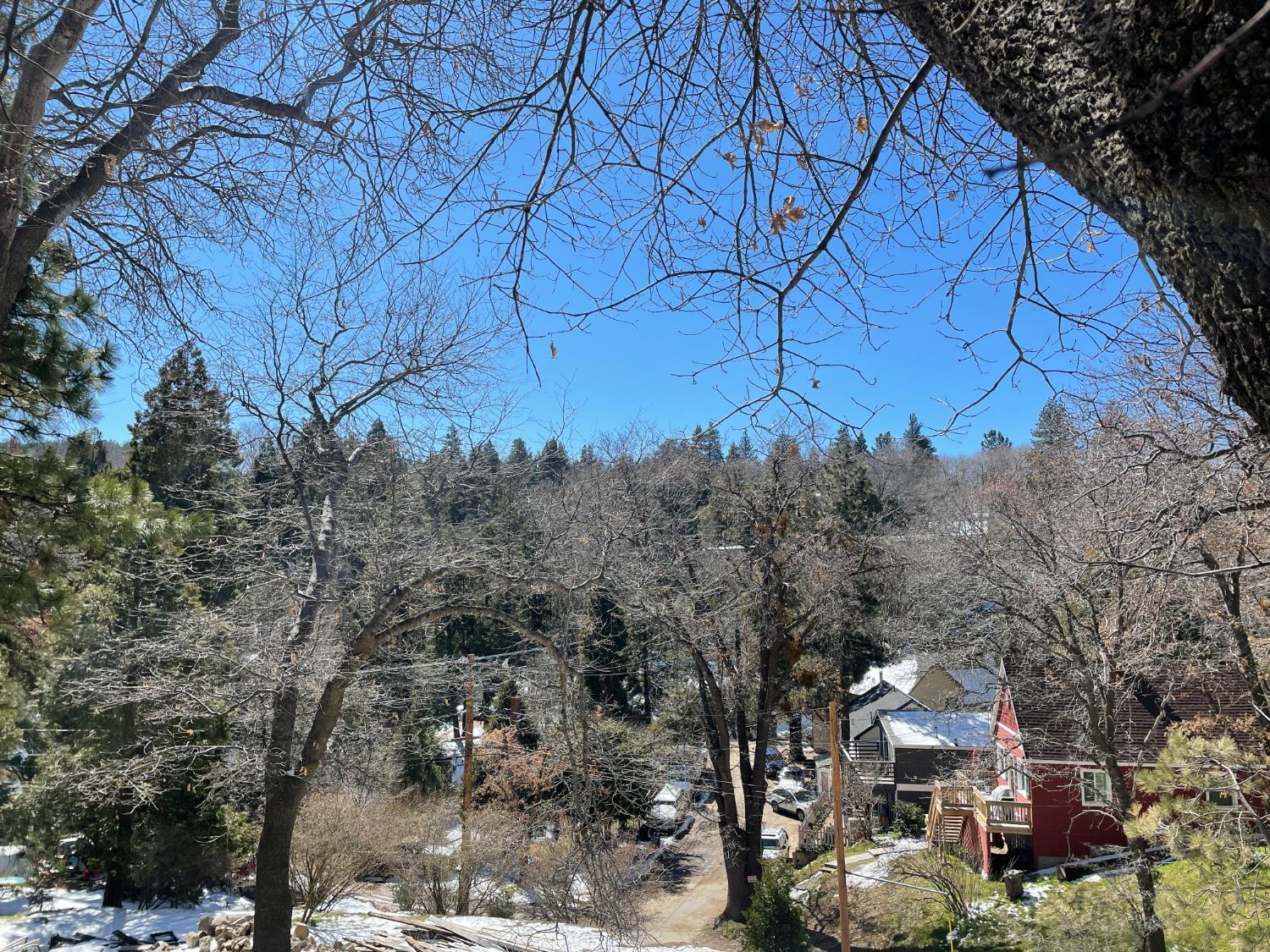Lyon Drive, Cedar Glen, CA 92321