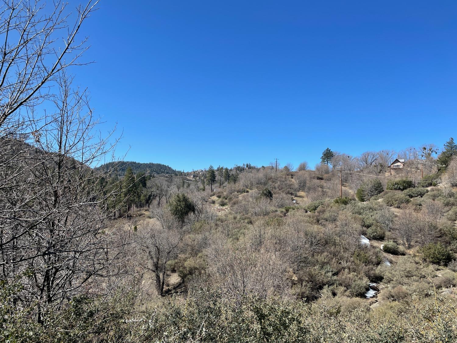 Walnut Drive, Cedar Glen, CA 92321