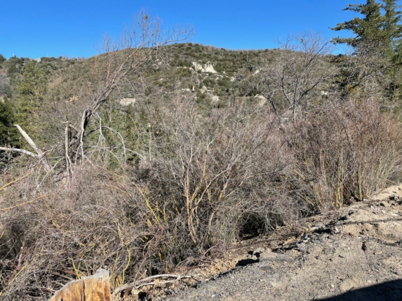 716 Acacia Road, Cedar Glen, CA 92321
