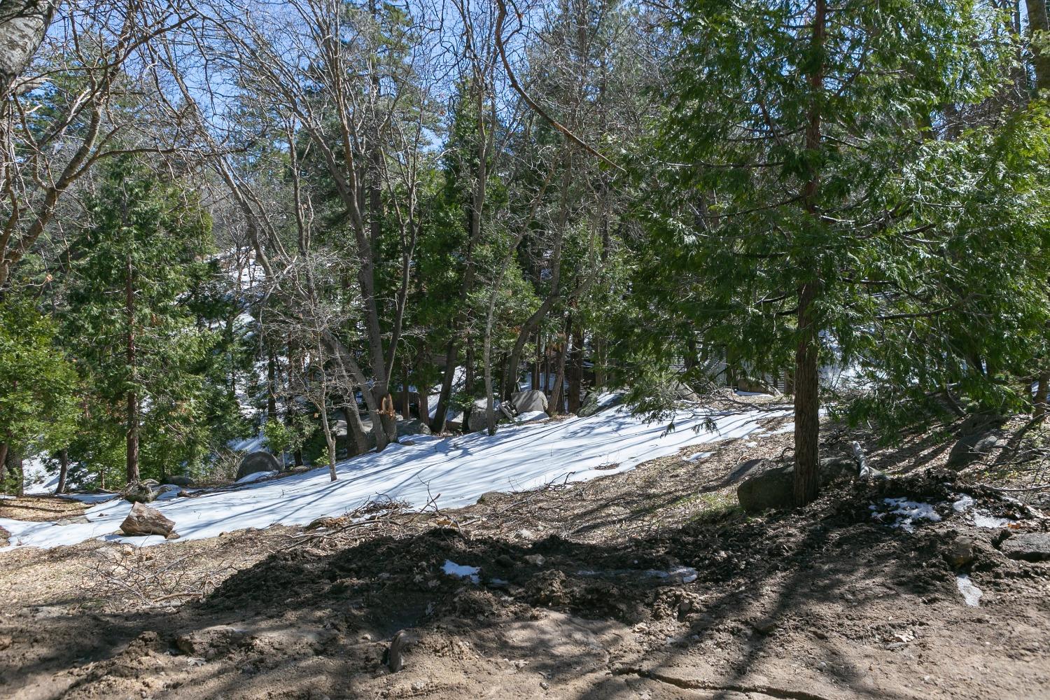 Cappy Drive, Lake Arrowhead, CA 92352