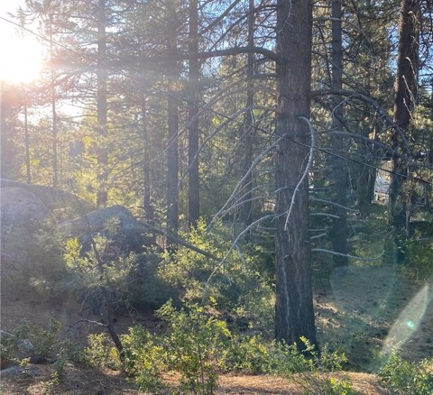 Cienega Road, Big Bear, CA 92315