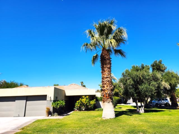 1444 Sunflower Circle N, Palm Springs, CA 92262