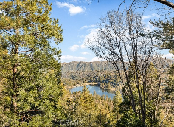 24502 Albrun Court, Crestline, CA 92325