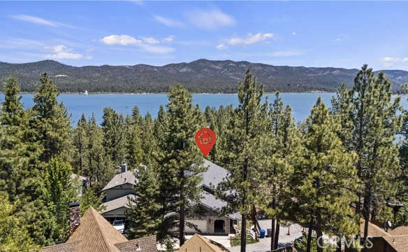40258 Narrow Lane, Big Bear Lake, CA 92315