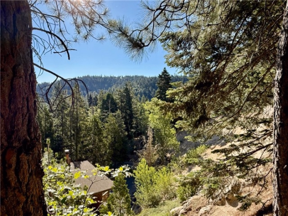 872 Sierra Vista #30, Twin Peaks, CA 92391
