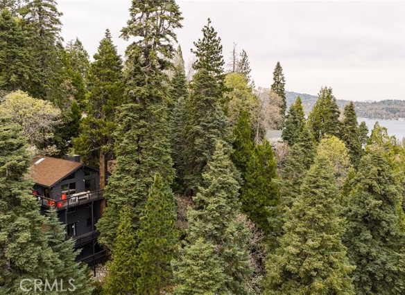 555 Dover Court, Lake Arrowhead, CA 92352