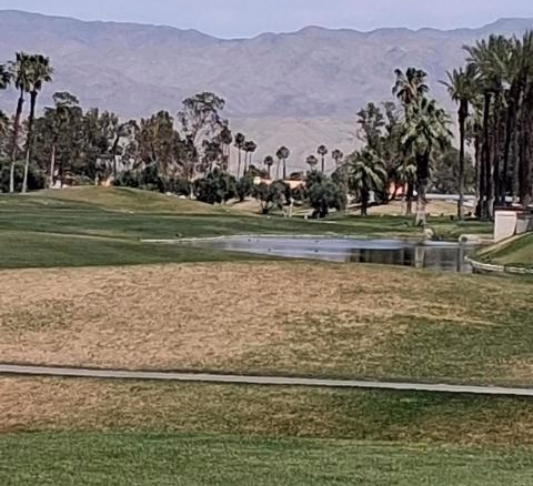 114 Alcola Circle, Palm Desert, CA 92211
