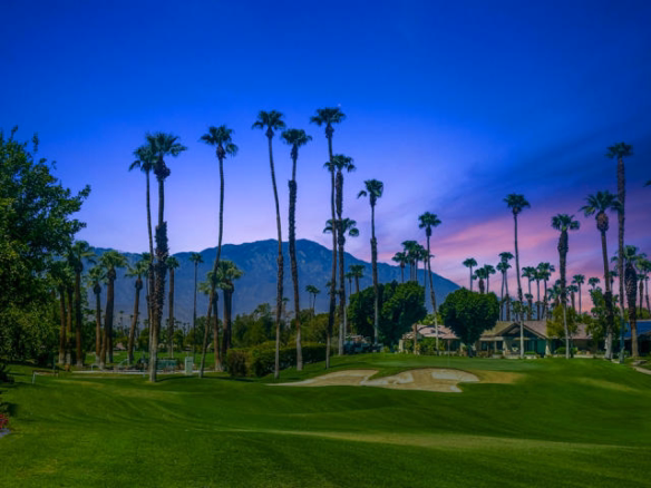 14 Ponderosa Circle, Palm Desert, CA 92211