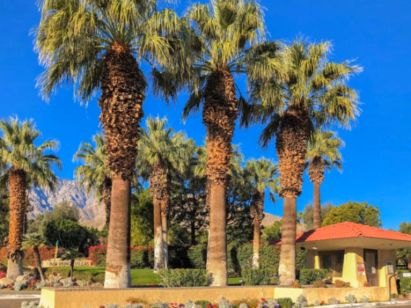 2821 Los Felices Circle N #114, Palm Springs, CA 92262