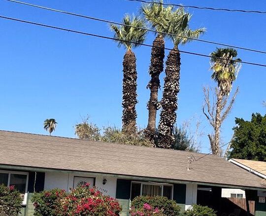 77580 california Drive, Palm Desert, CA 92211