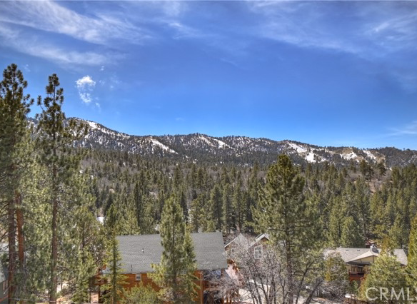 43850 Yosemite Drive, Big Bear Lake, CA 92315